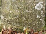 image of grave number 240863